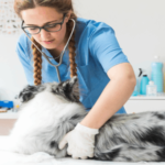 Dog First Aid Kit